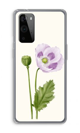 Purple poppy