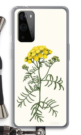 Tansy