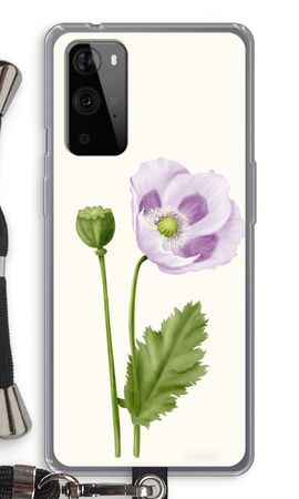 Purple poppy