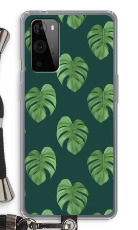 Monstera leaves