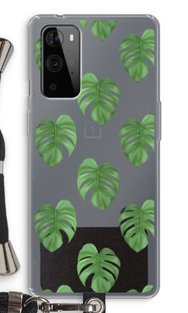 Monstera leaves