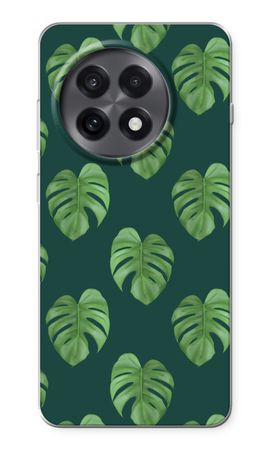 Monstera leaves