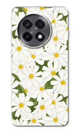 Summer Daisies