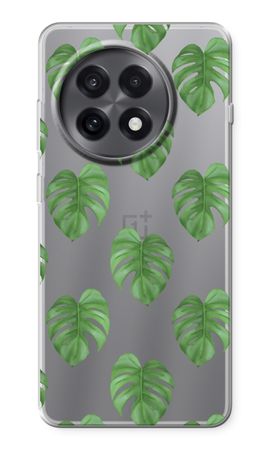 Monstera leaves