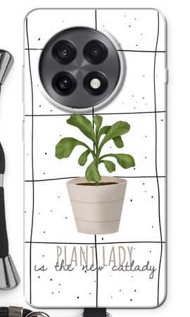 Houseplant on windowpane