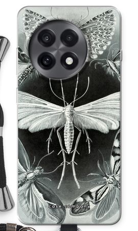 Haeckel Tineida