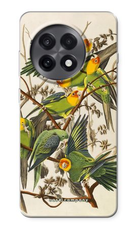 Carolina Parrot