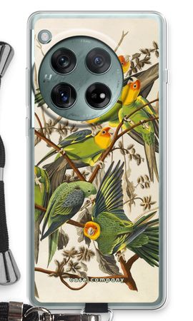 Carolina Parrot