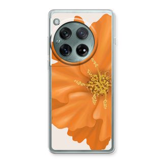 Orange Ellila flower
