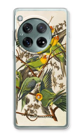 Carolina Parrot