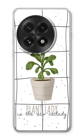 Houseplant on windowpane