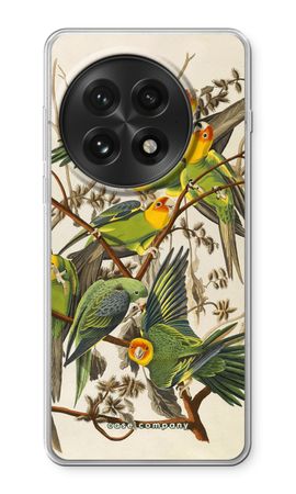 Carolina Parrot