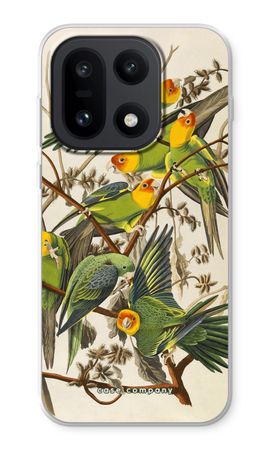 Carolina Parrot