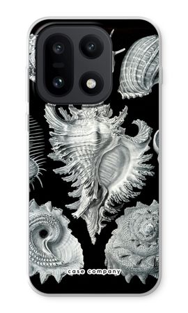 Haeckel Prosobranchia