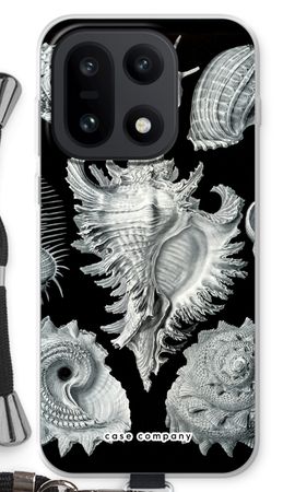 Haeckel Prosobranchia