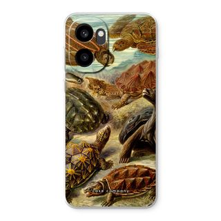 Haeckel Chelonia