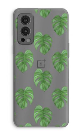 Monstera leaves