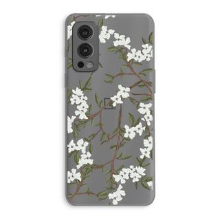 Blossoming spring