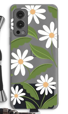 Daisies All Over