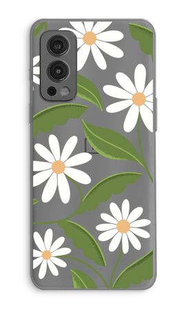 Daisies All Over