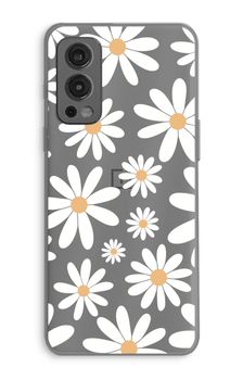 Encore des marguerites