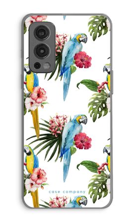Colourful parrots