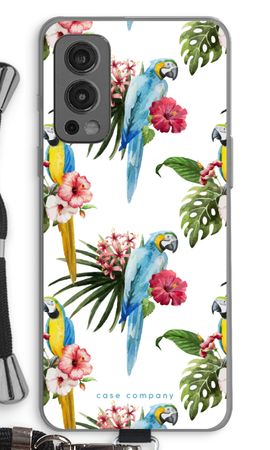 Colourful parrots