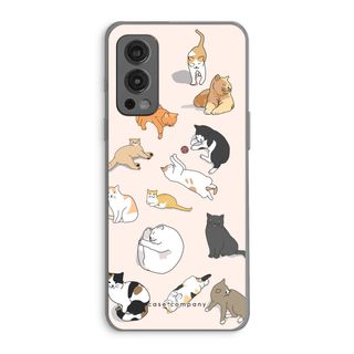 Katten