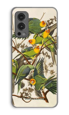 Carolina Parrot