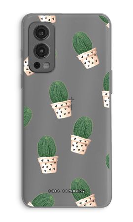 Cactus rose
