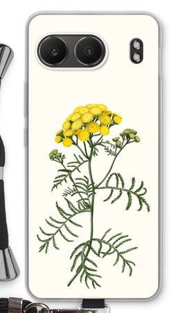 Tansy