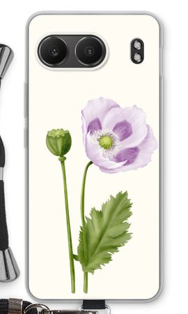 Purple poppy