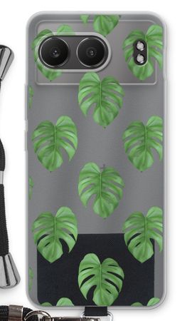 Monstera leaves