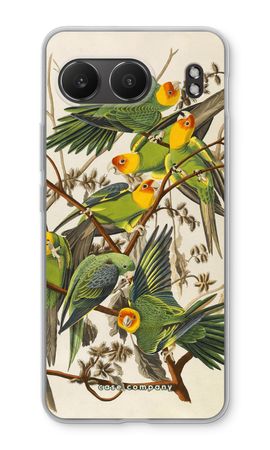 Carolina Parrot