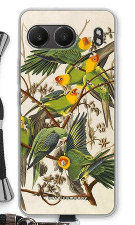 Carolina Parrot