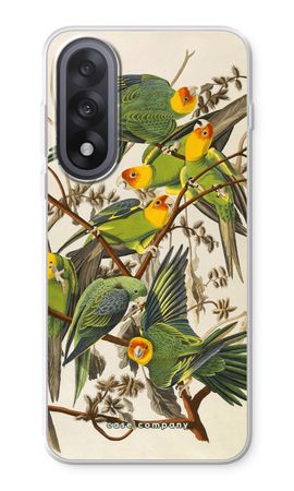 Carolina Parrot