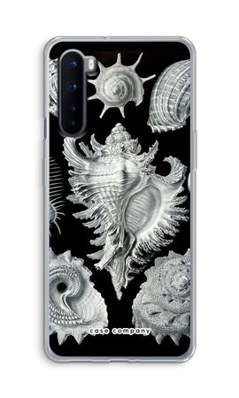 Haeckel Prosobranchia