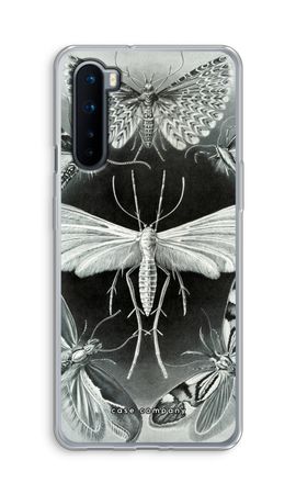 Haeckel Tineida