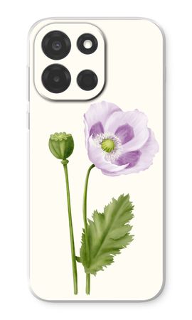 Purple poppy