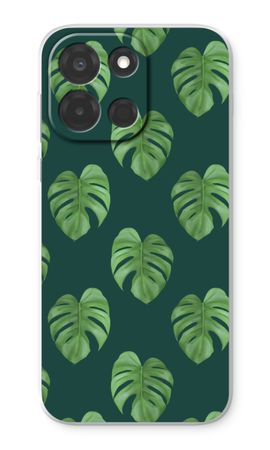 Monstera leaves