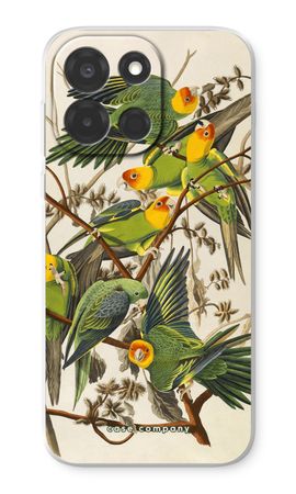 Carolina Parrot