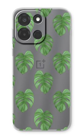 Monstera leaves