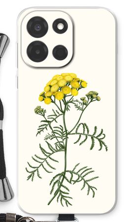 Tansy