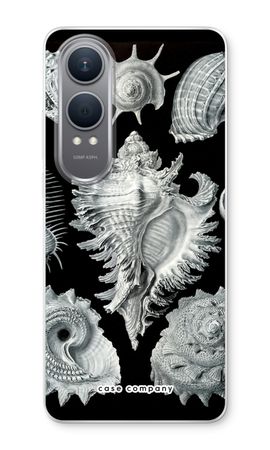 Haeckel Prosobranchia