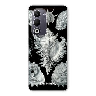 Haeckel Prosobranchia