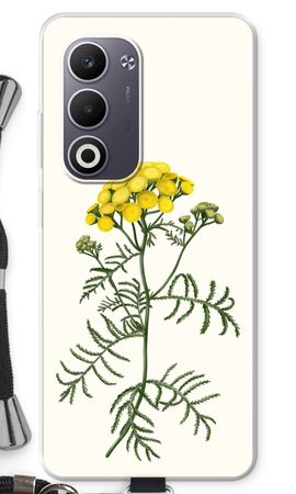 Tansy