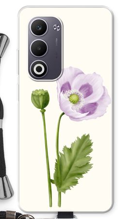 Purple poppy