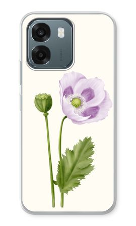 Purple poppy