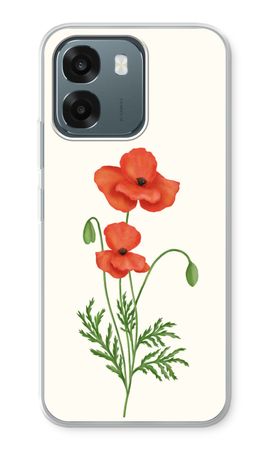 Red poppy
