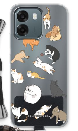 Cats